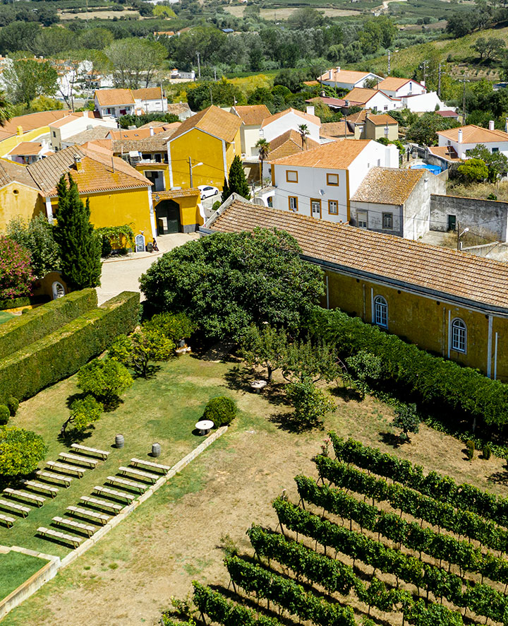 Dimore e Residenze Professionisti immobiliari Cremona